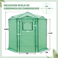 thumbnail image 3 of EAGLE PEAK 6.6x6.6 ft Hexagon Pop up Greenhouse, Portable Walk-in Grow Tent, All-Weather Plant Shelter, Green, 3 of 10