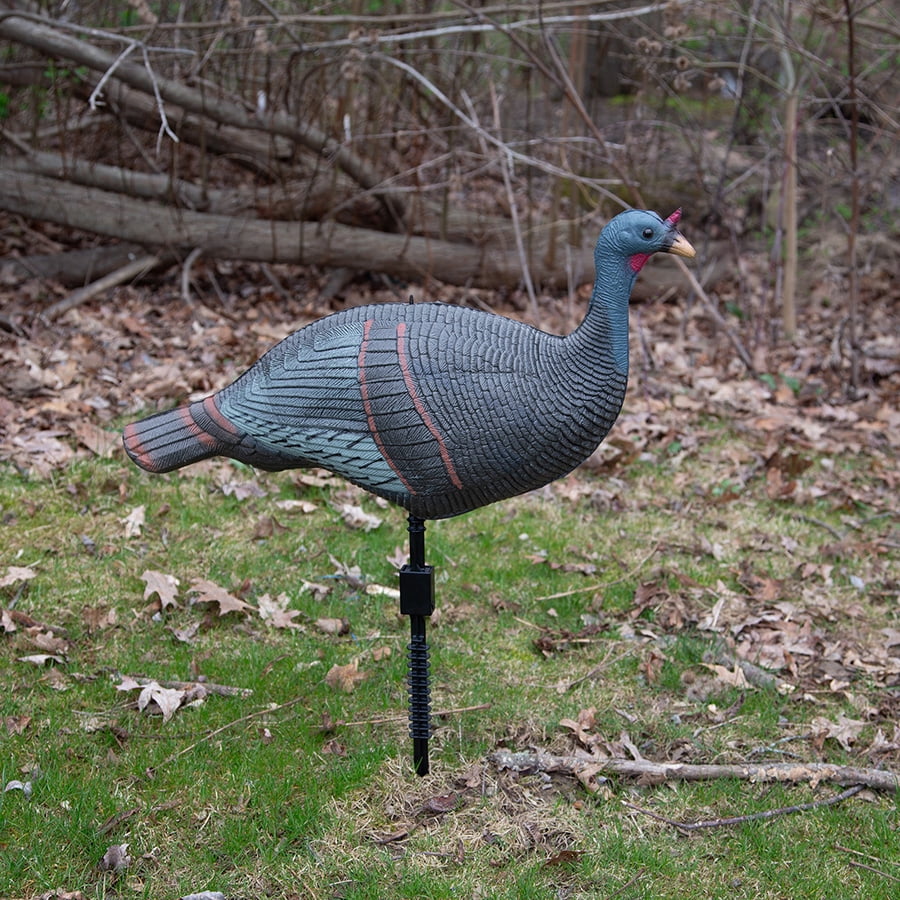 Falls River Foam Hen Turkey Decoy with Turkey Stake