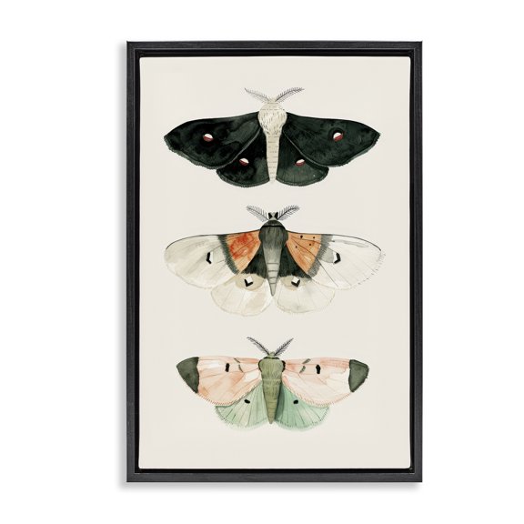 Stupell Industries Shabby Chic Black Floating Frame Canvas Art, 17 x 25, by Petals Prints Design
