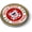 Metal Bezel, variant on BestLicensePlateFrames United States Coast Guard 3D Domed Car Emblem Badge Sticker Chrome Plastic Round Bezel (r)