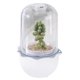 thumbnail image 1 of Macetas para suculentas con luz LED de cultivo, temporizador, ventilador y temporizador, 1 of 8