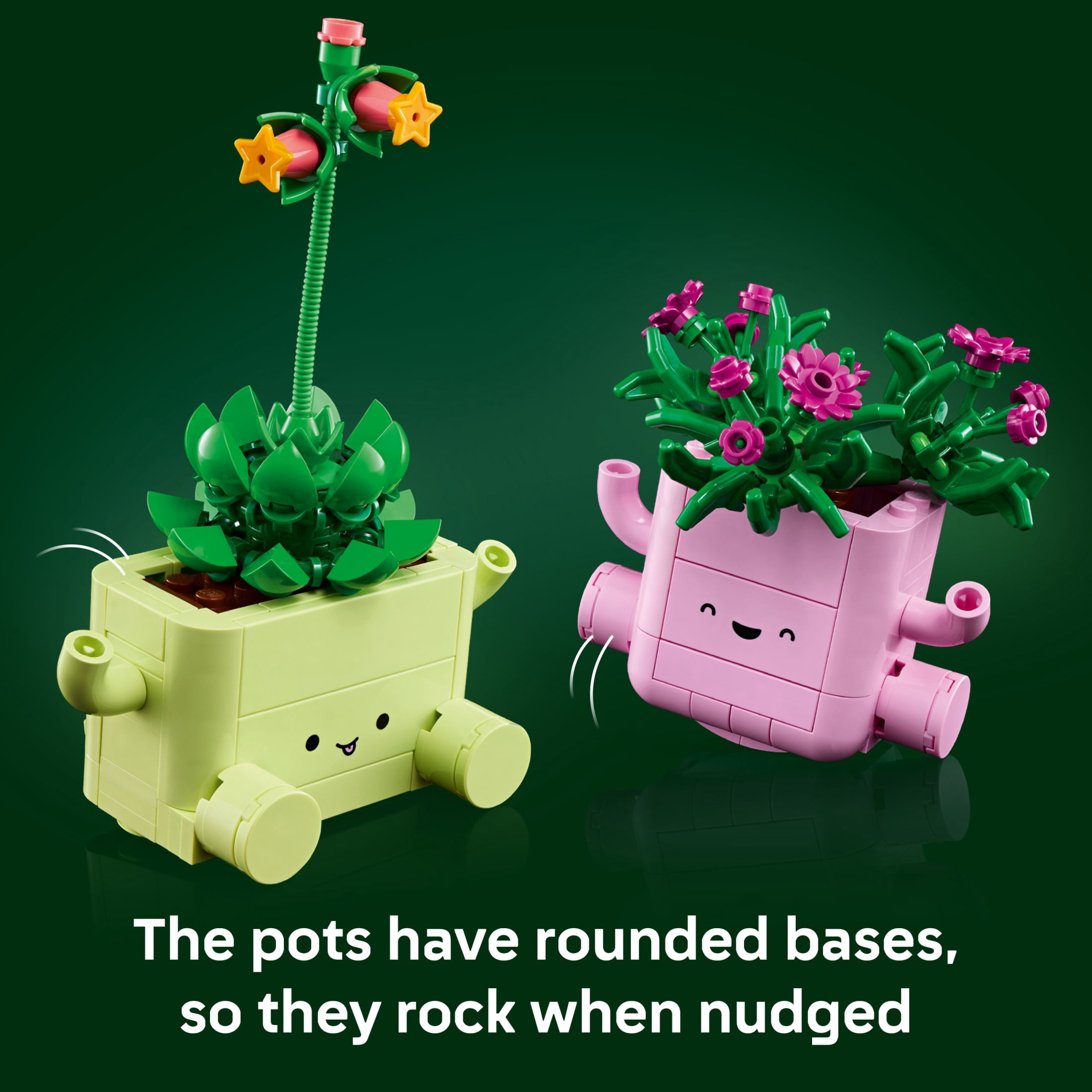 LEGO Botanicals Rocking Plants - Building Toy for Kids, Girls & Boys, Ages 9+ - Home Decor for Bedroom or Book Shelf - Housewarming Gift Ideas - 11506