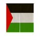 thumbnail image 1 of ABPHQTO Bandera palestina japonesa Noren cortina puerta ventana tratamiento cortinas 85x90 cm, 1 of 1