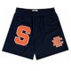 thumbnail image 1 of Pantalones cortos de gimnasio con estampado Floral para hombre, Shorts clásicos de malla básica para gimnasio, baloncesto y deportes, novedad de verano, 1 of 5