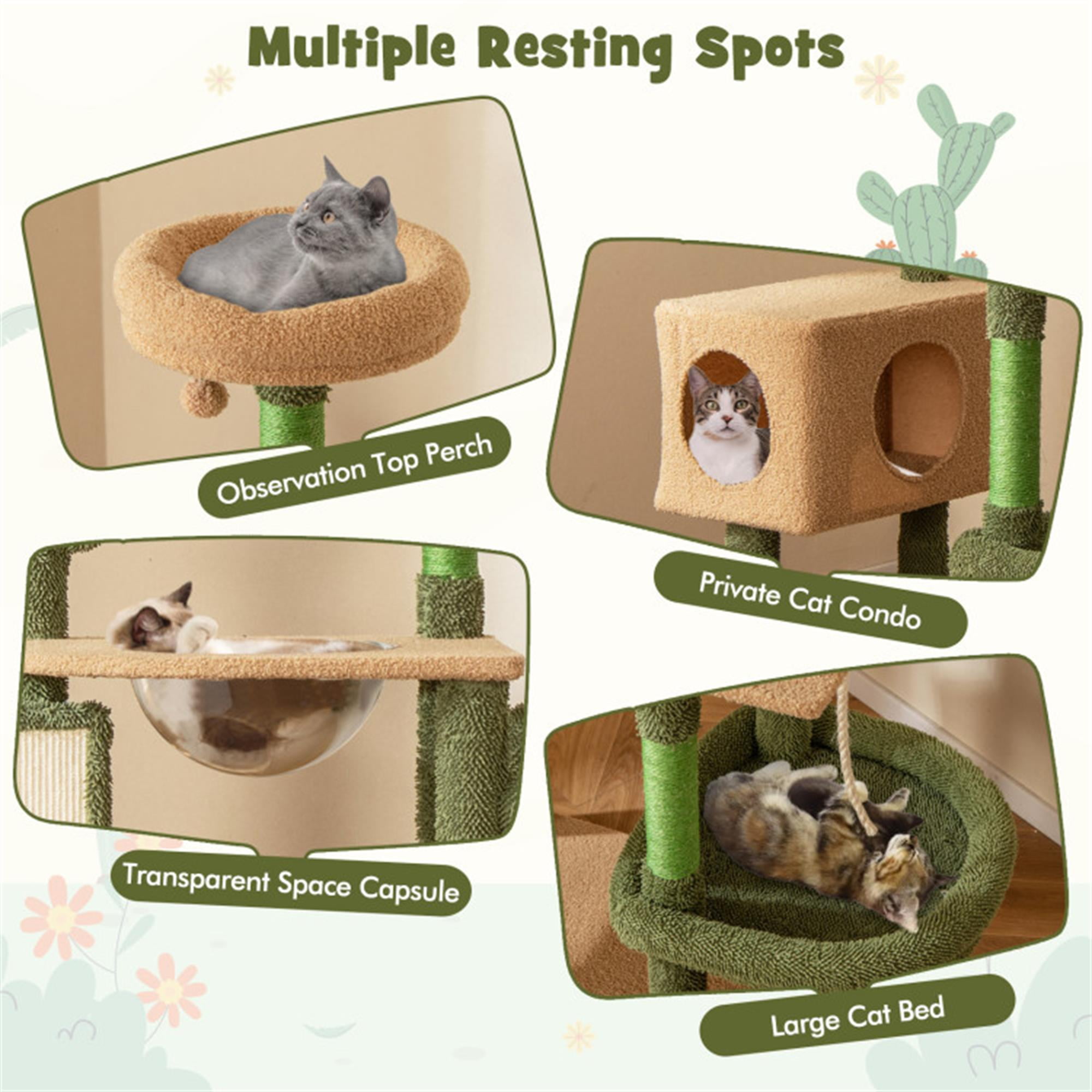 Pefilos 59" Cactus Cat Tree Tower for Indoor Cats, Multi-Level Cat Condo, Cat Tree House with Space Capsule, Sisal Scratching Posts and Board, Green Pefilos 59" Cactus Cat Tree Tower for Indoor Cats, Multi-Level Cat Condo, Cat Tree House with Space Capsule, Sisal Scratching Posts and Board, Green