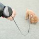 thumbnail image 3 of Pet Leash 3 automático retráctil correa de reloj para perros pequeños medianos y grandes, 3 of 8