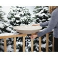 Parrot Color Pattern Allied Precision Industries, Heated Bird Bath, 20