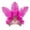 Hot Pink, variant on DailyChi Rhinestone Sequin Feather Headband - Vintage Flapper Headpiece for Women, Party Stage Show Hair Accessories, Glamorous Design, Red, Under $6