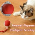 thumbnail image 3 of Jouet Interactif pour Chat Balle Roulante Automatique Fausse Queue Rechargeable Jouet Électrique Intelligent pour Chien Chat Entraînement Imitation Souris, 3 of 5