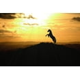 thumbnail image 2 of The Yellowstone Collection 32x23 White Modern Wood Framed Museum Art Print Titled - Sunset Dancer, 2 of 4