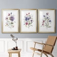 thumbnail image 6 of Color Variety I Premium Framed Prints Set of 3 - Ready to Hang - 30.5 x 42.5 Each - Gold Frame, 6 of 9