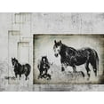 thumbnail image 2 of LightBoxJournal 14x12 White Modern Wood Framed Museum Art Print Titled - Wild Horses of the Great Basin 07, 2 of 4