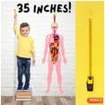 thumbnail image 2 of Modelo de cuerpo humano NUHICO Montessori Essential 1m para niños, 2 of 9