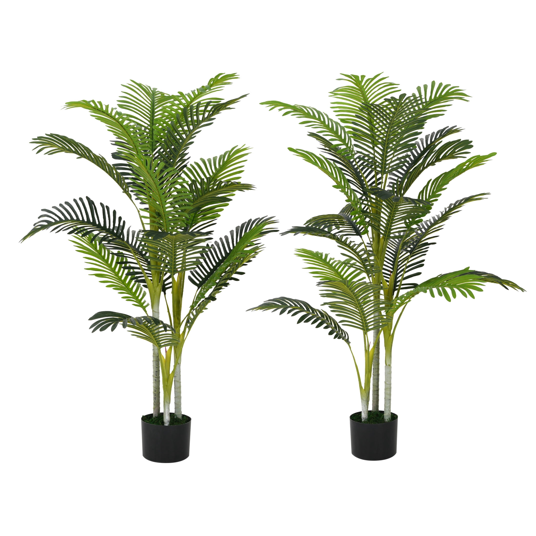 Christopher Knight Home 61" Artificial Palm Tree in Black Plastic Pot, Pre-Potted Faux Greenery Tree for Home Decor (Set of 2)