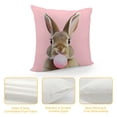 thumbnail image 4 of Leisuo Pink Animal Bunny Gum Decorative Throw Pillow Case Decorative Cushion Cover Standard Square white, 4 of 5