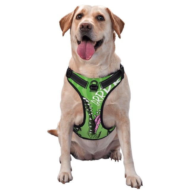 Balery CROCODILE HEAD Arnés para Perros Grandes Antitirones, Arnés con Correa para Gato, Arnés Tipo Chaleco para Perros Pequeños-Large