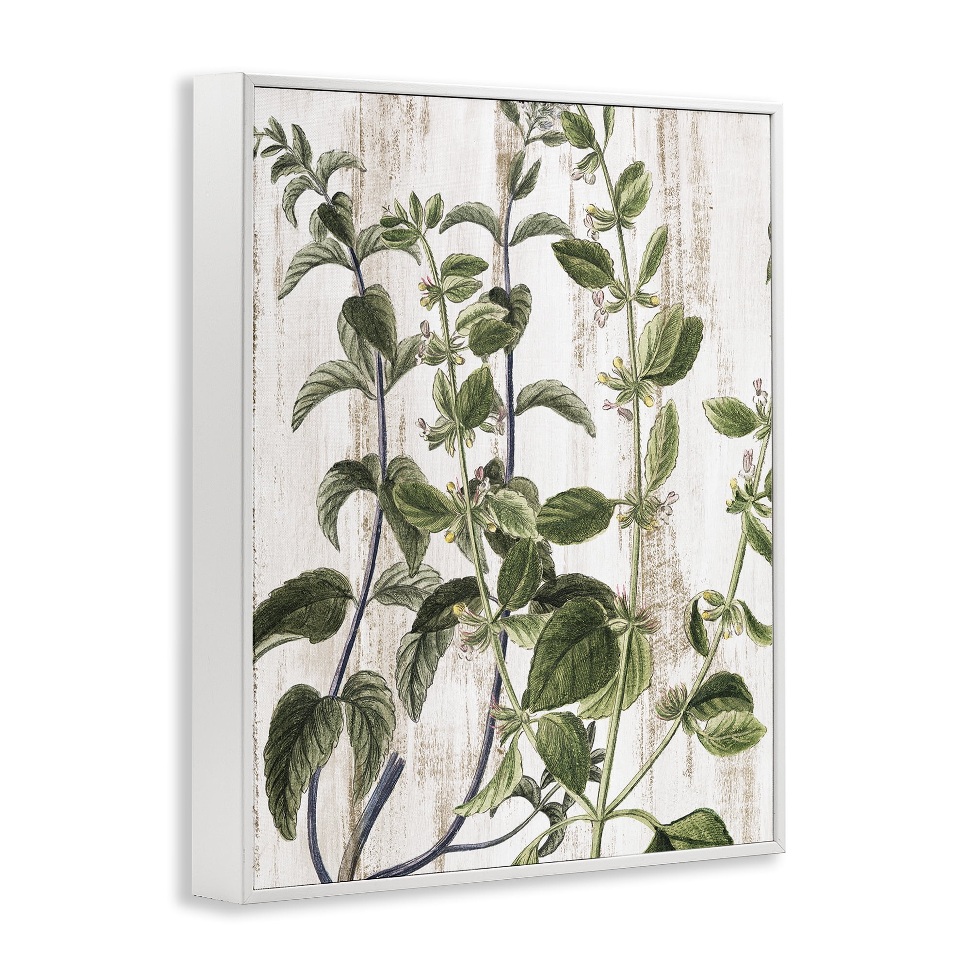 Stupell Industries Rustic Botanical Vines Botanical & Floral Painting White Framed Art Print Wall Art, 16 x 20