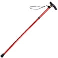 thumbnail image 1 of Soidarity Bastón telescópico para caminar, bastones de ayuda para caminar para personas mayores con mango de cojín, equipo de escalada Escalada Rojo Soidarity HW5383-05, 1 of 6