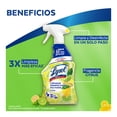 thumbnail image 3 of Limpiador Desinfectante Multiusos Lysol Citrus 650ml, 3 of 4