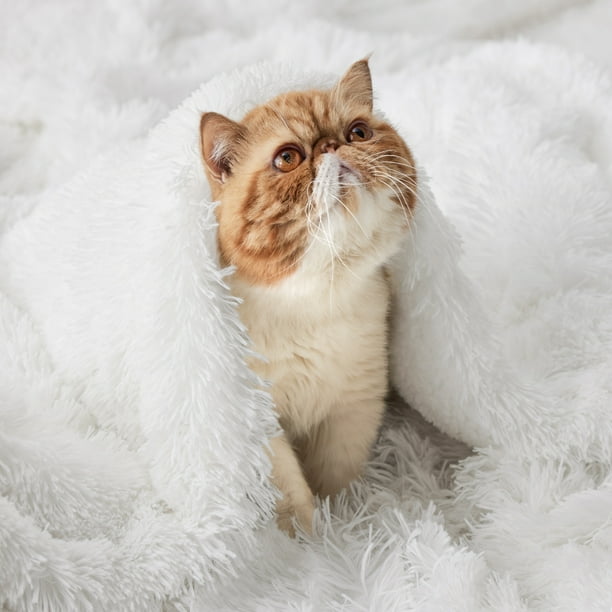 Cute fluffy blankets hotsell