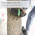 thumbnail image 4 of Tool Series Tree Climbing Shoes Adjustable Tree Climbing Tool Tree Climbing Gear Pole Climbing Tool With Gloves Ideal For Practicing Tree Climbing Jungle, 4 of 9