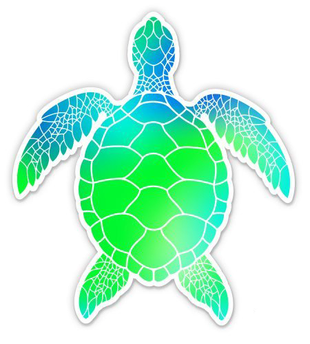 walmart green turtle sandbox
