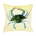 thumbnail image 2 of Betsy Drake HJ452 Cocoa Nut Tree Large Indoor & Outdoor Pillow, 2 of 4