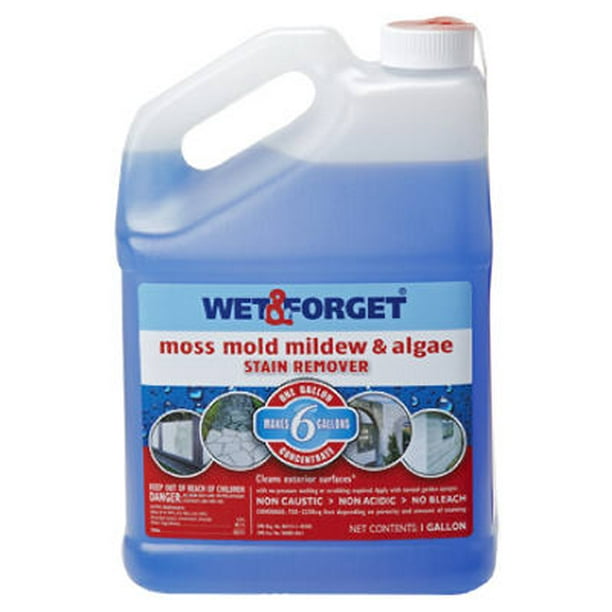 Wet & 800006 Outdoor Moss, Mold, Mildew & Algae Remover, 1