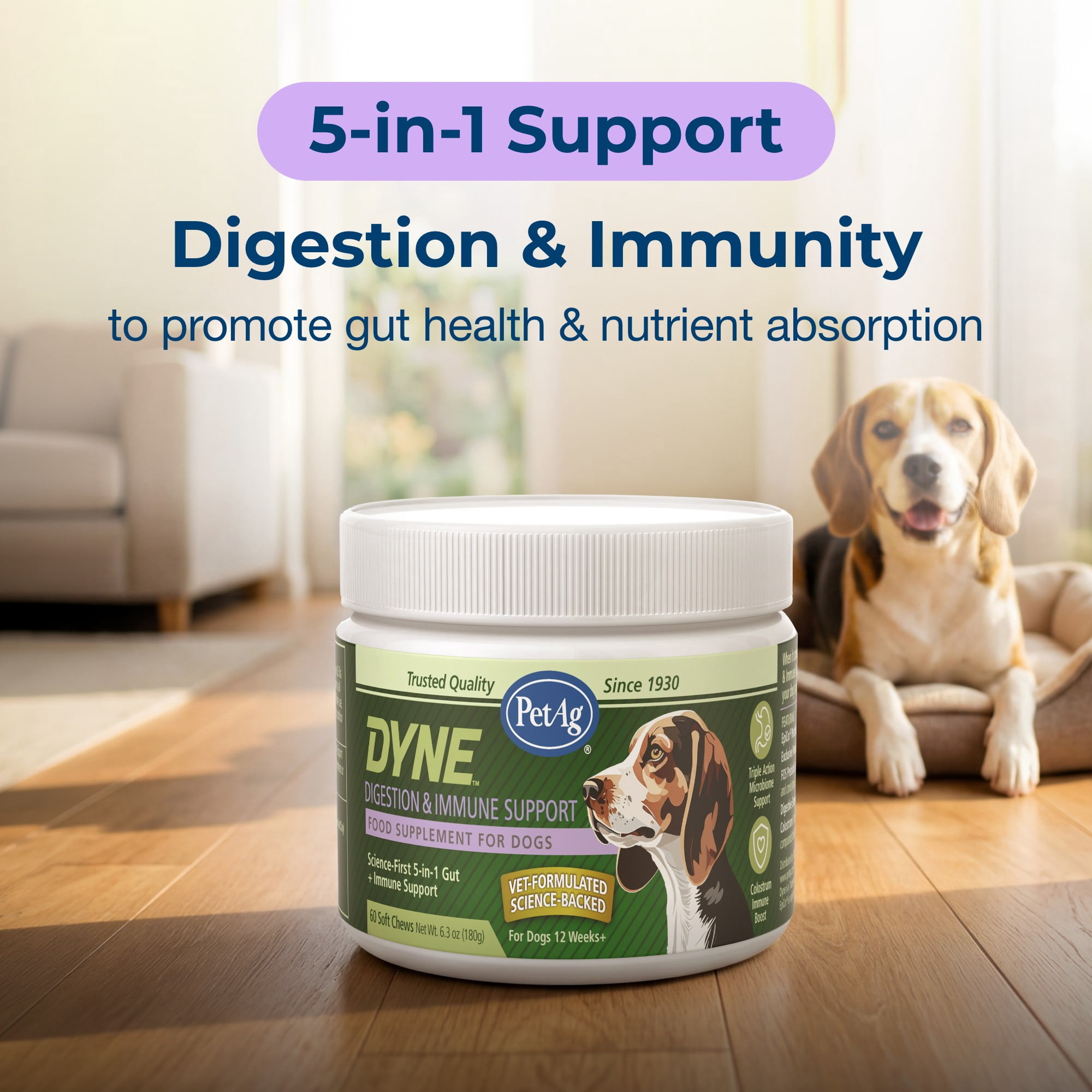 PetAg Dyne Soft Chews, Digestion and Immune Support Supplement - 60 Chicken Liver Flavor Chews