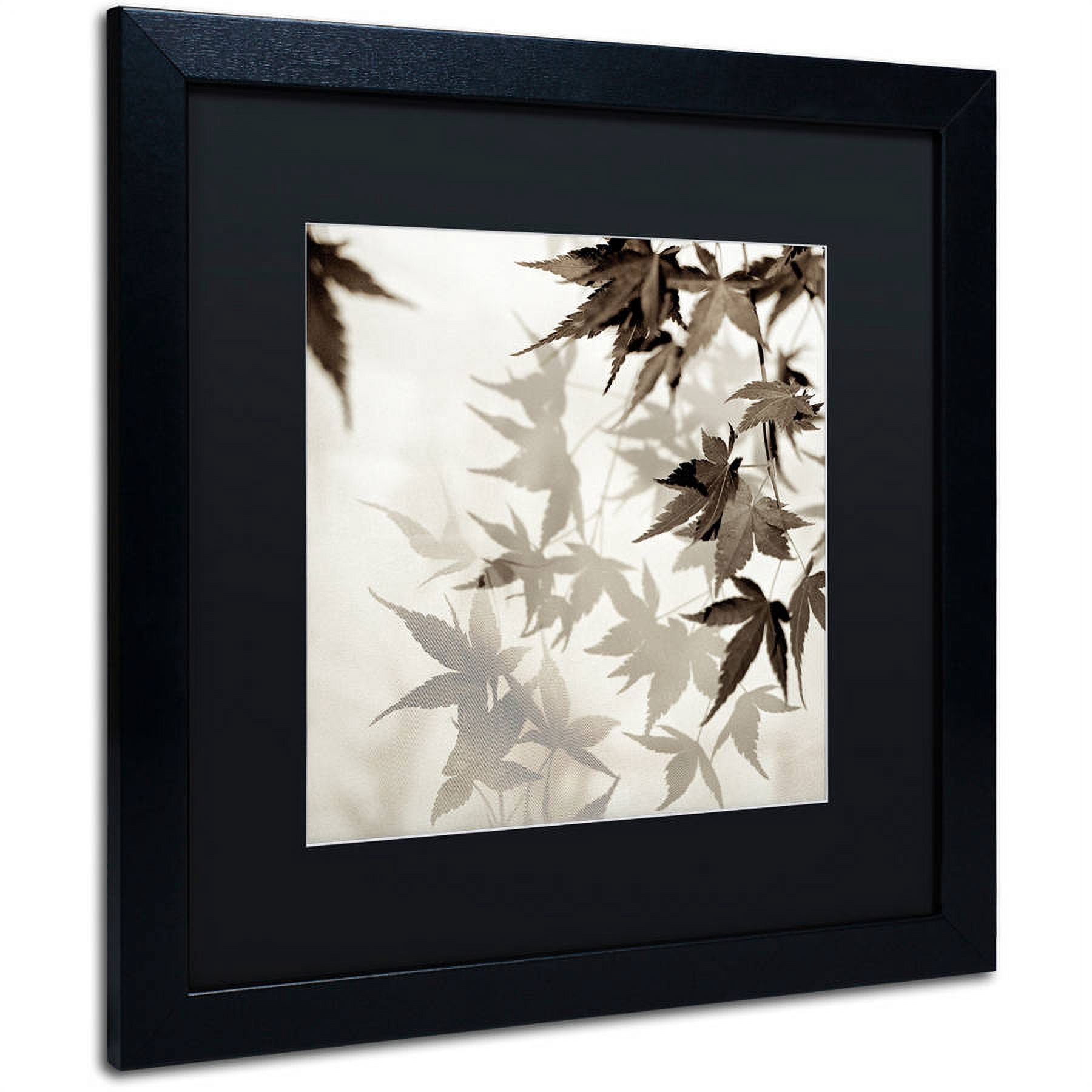 Trademark Fine Art "Florison 57" Canvas Art by Alan Blaustein, Black Matte, Black Frame