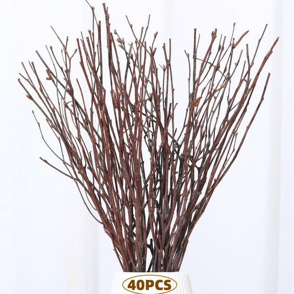 40 Pcs Natural Birch Twigs Natural Dried Plants Decorative Branches for Vases Tall Birch Branches for Decoration Floor DIY Crafts Home Wreath Decor Wedding Arrangements, 17inch