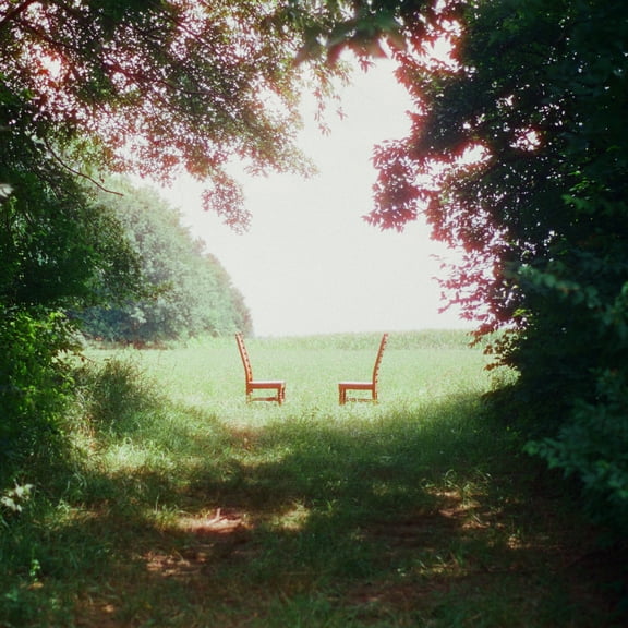 Ratboys -- Singin' to an Empty Chair LP green