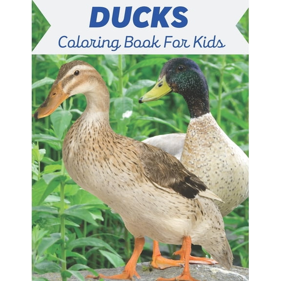 Ducks Coloring Book For Kids : A Coloring book for kids of 35 amazing Ducks Designs (Paperback)