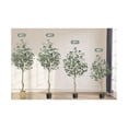 thumbnail image 4 of Eucalyptus Tree Artificial 4/5/6ft，Faux Eucalyptus Tree with Silver Dollar Leaves, Home Office Decor Indoor, 4 of 9
