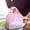 C 5I2, variant on Ke1Clo Lunch Bag under $5! Thermal Insulation Bento Bag for Students Portable Design with High Density Cloth Keeps Food Fresh for Work College Outdoor Activities like Fishing Hiking and Picnics