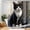Color 2, variant on SPXUBZ 72x72 Inch Funny Animals Group Self Portrait Photo Shower Curtain Set with Hooks, Waterproof Washable Polyester Fabric Bath Curtains for Bathroom Decor