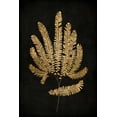 thumbnail image 2 of Bennett, Kate 13x18 Black Ornate Wood Framed with Double Matting Museum Art Print Titled - Golden Nature II, 2 of 4