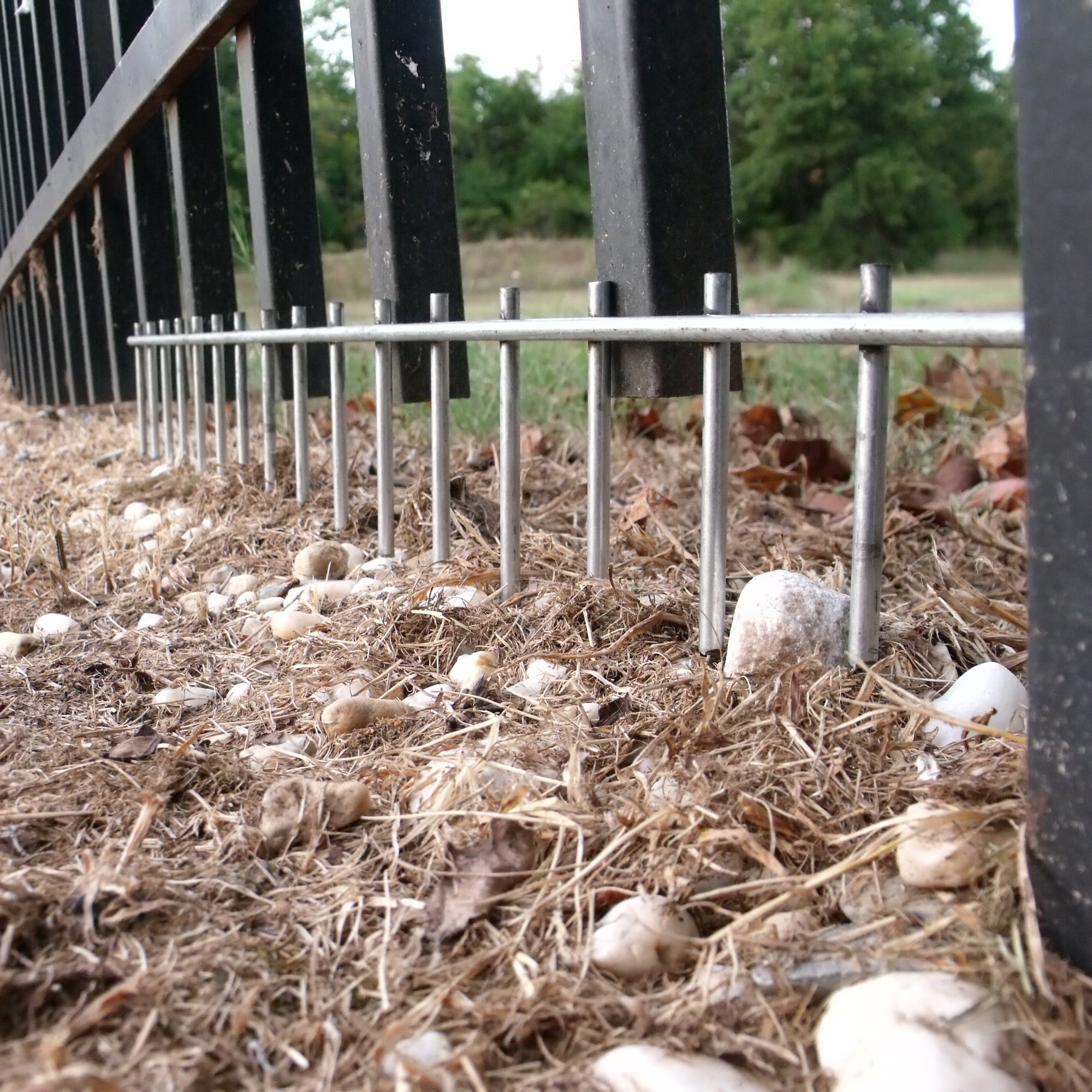 How to stop dog from crawling under fence 2025