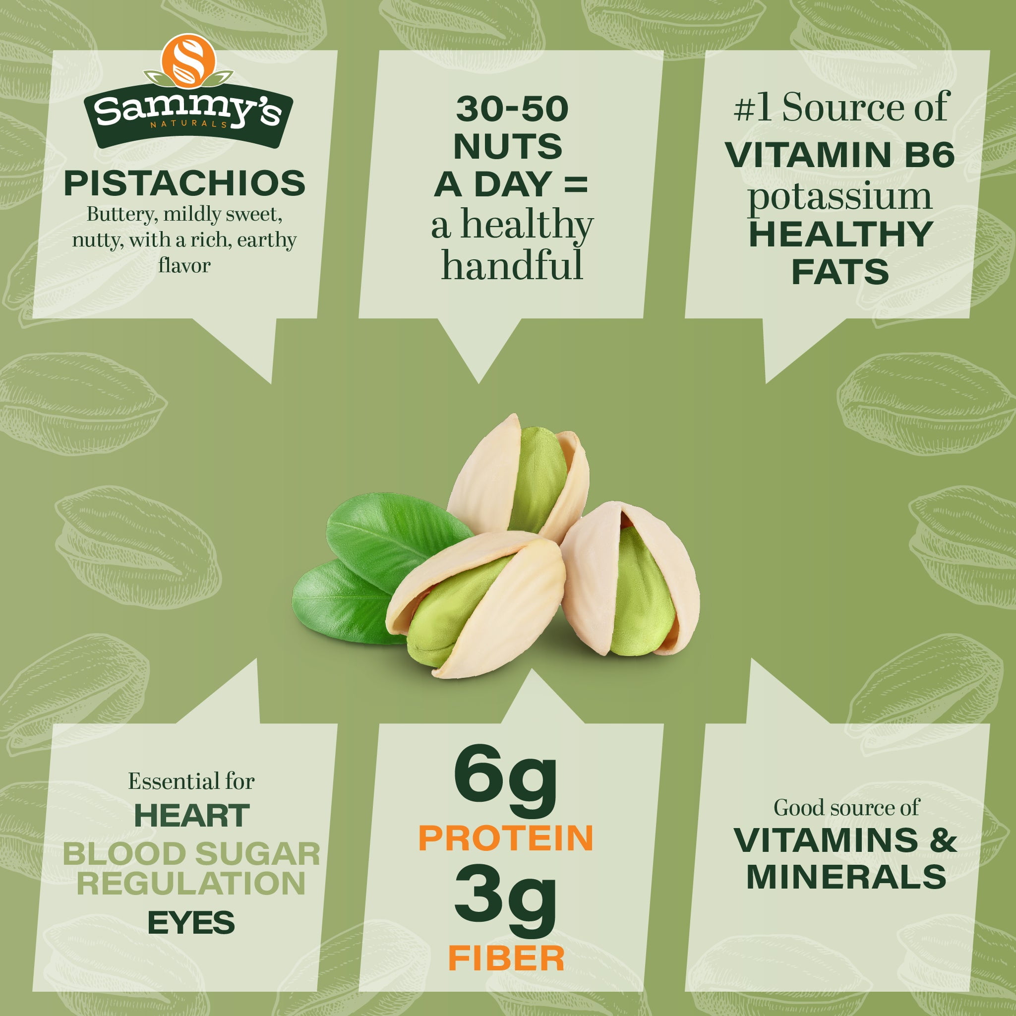 Sammys Naturals California Pistachios, Roasted & Salted (32oz - 2 lbs) Kosher