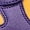 Court Purple/University Gold/W, variant on NIKE GRADE SCHOOL Dunk High GS "Lakers" DZ4454 500 DZ4454 500 from Stadium Goods