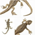thumbnail image 3 of IDEANATEGRATE Escultura De Lizard De Latón Retro Con Único Para Sofisticada Del Hogar, 3 of 8