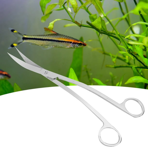 Tijeras de acero inoxidable herramientas de limpieza Tijeras para plantas acuáticas pinzas rectas para peceras acuarios paisajes acuáticos estanques de plantas acuáticas ANGGREK Otros