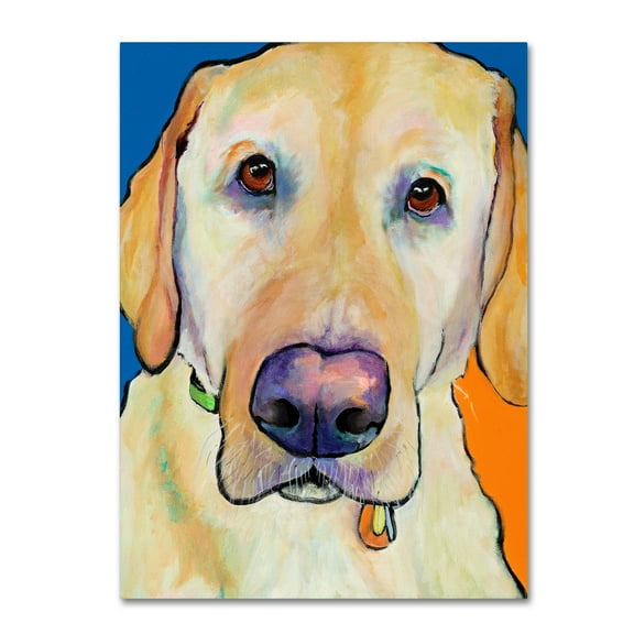 Trademark Fine Art 'Spencer copy' Canvas Art by Pat Saunders-White