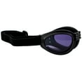 thumbnail image 5 of Birdz Eyewear Parrot Folding Padded Motorcycle Goggles Black Frame with Purple Lens for Men & Women, 5 of 8