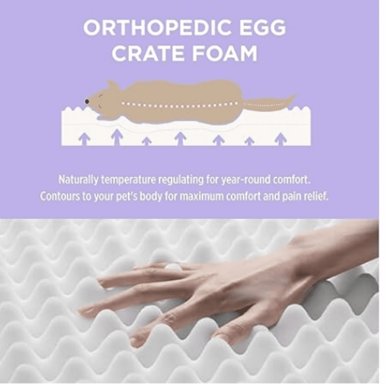Outdoor Waterproof Dog Beds Large Sized Dog, Orthopedic Egg Crate Foam Pet Bed with Oxford Fabric Surface and Removable Washable Cover, Pet Mat 36''x27'', Green
