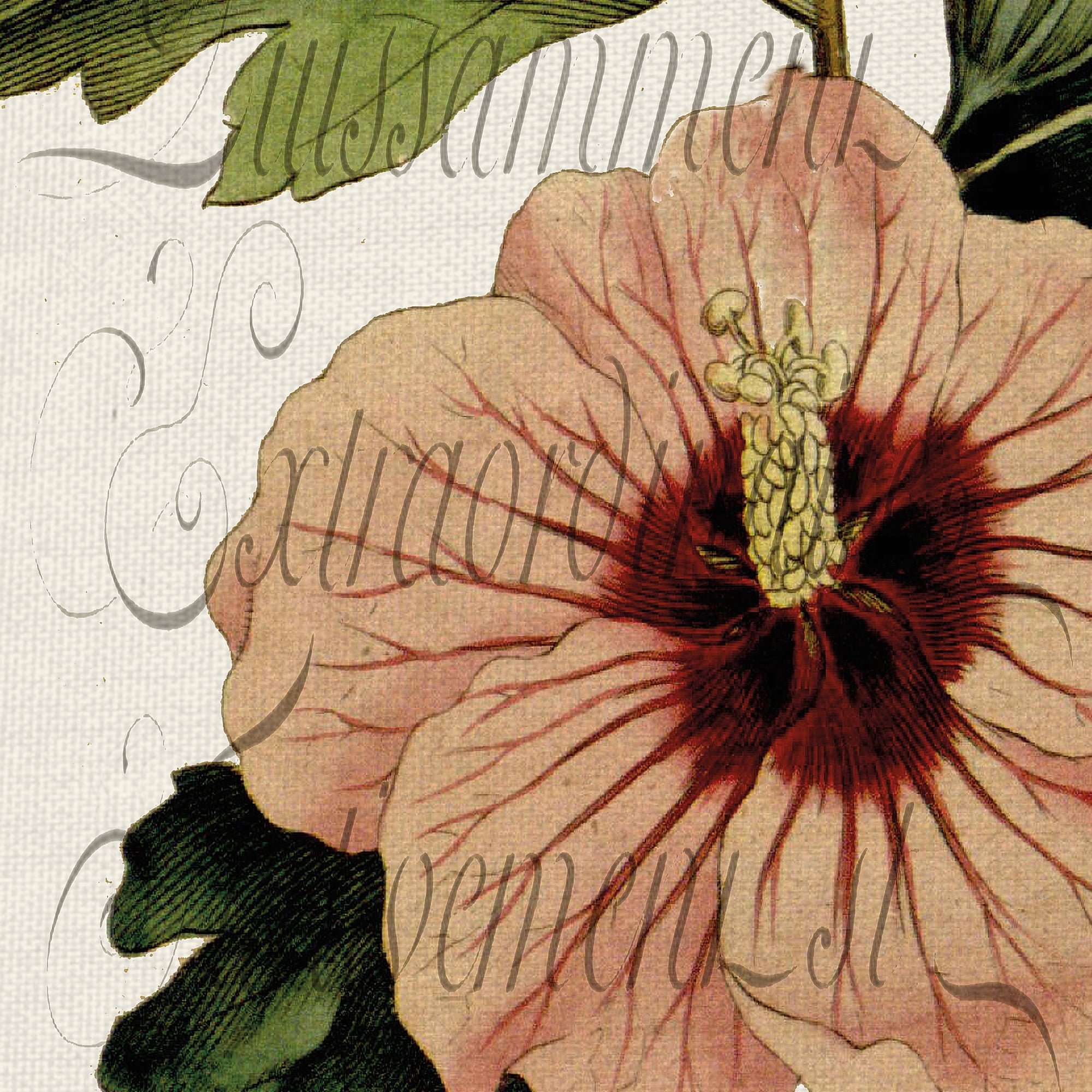 Botanical Panel II by Stephanie Monahan Wrapped Canvas Art Print