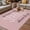 Pink, variant on Pink Outdoor Rug for Patio/Deck/Porch, Non-Slip Large Area Rug 4 x 6 Ft, She Leaves A Little SPARKLE Wherever She Goes Indoor Outdoor Rugs Washable Area Rugs, Reversible Camping Rug Carpet Runner