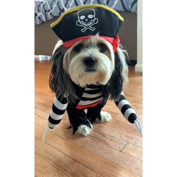 Black Paw Pirate Dog Costume, Knitted Fabric Buccaneer Outfit with Pirate Hat for Halloween, Christmas, and Party Gatherings,Xsmall