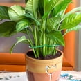 thumbnail image 6 of LULULION 4Pcs Green Plant Stand and Stem Stabilizer for Indoor Plant Growth and Outdoor Garden Use, 6 of 6