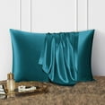 thumbnail image 3 of DISANGNI 100% Natural Mulberry Silk Pillow case for Hair and Skin with Hidden Zipper 22 Momme Both Sides Real Silk Pillow Case (1pc Standard Size 20"x26", Blue Green), 3 of 6